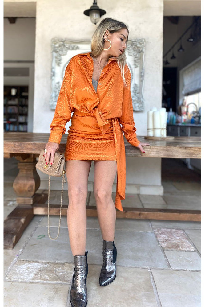 Shine skirt